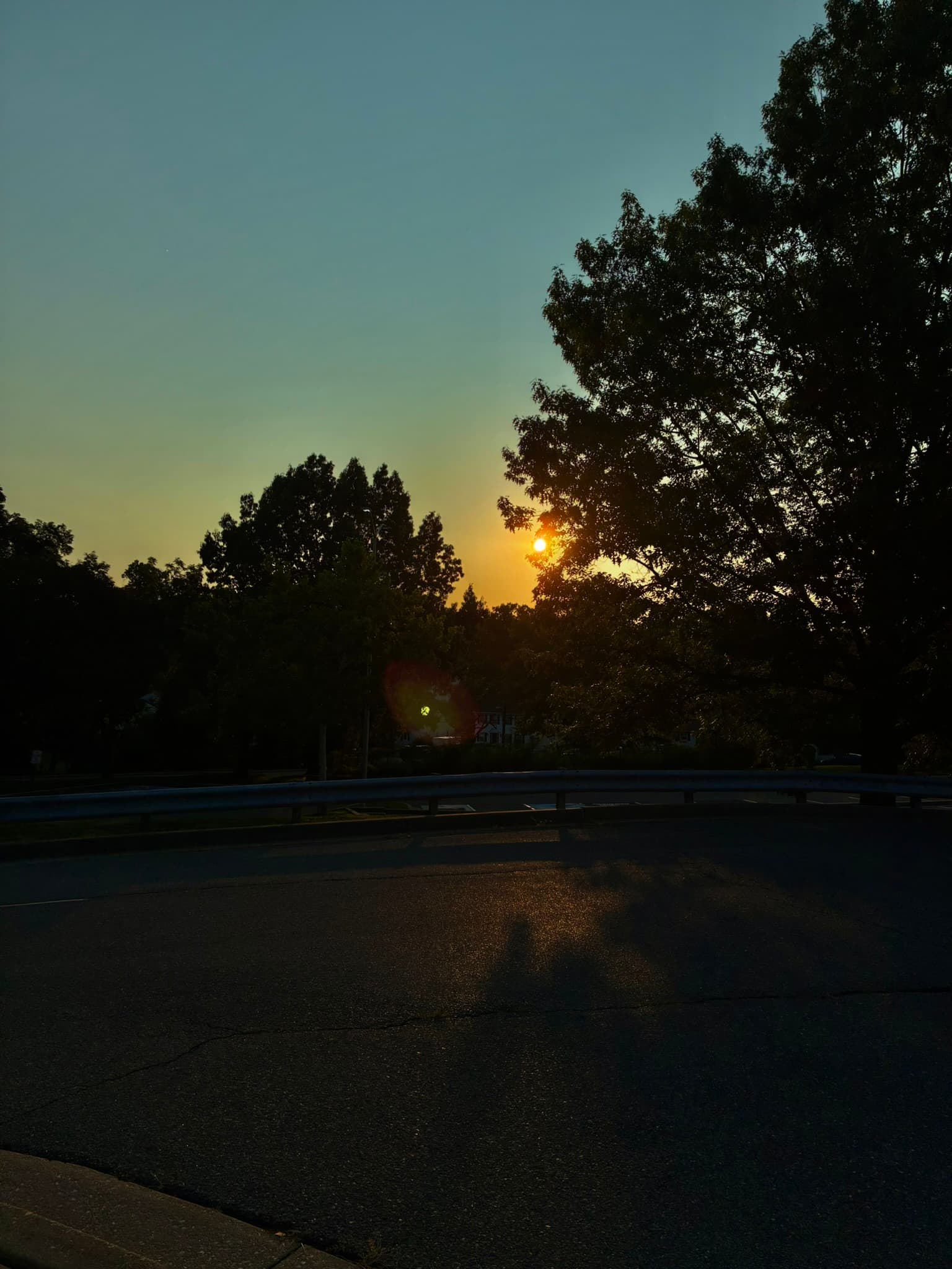 IMG_0516.JPEG
