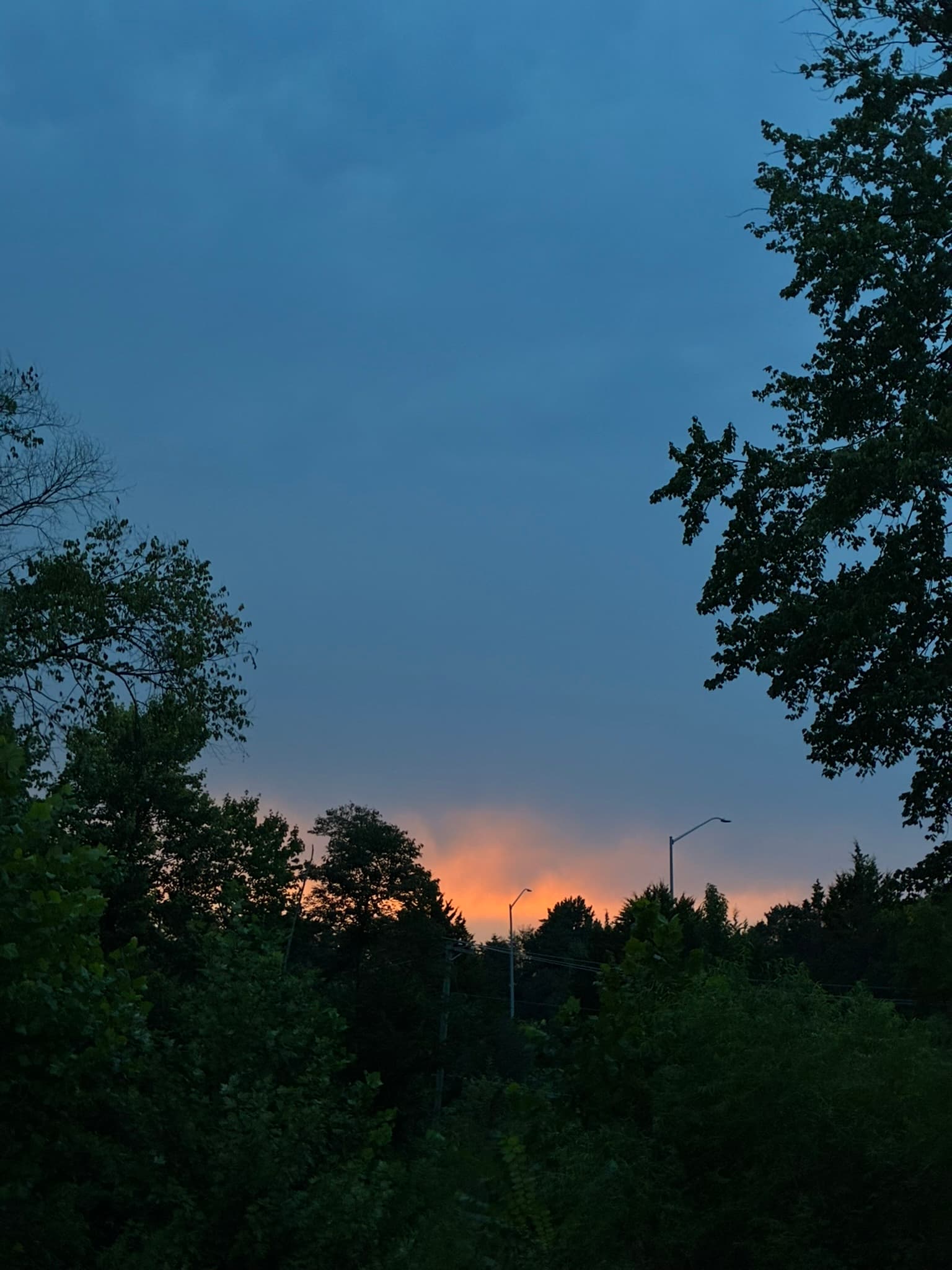 IMG_1047.JPEG