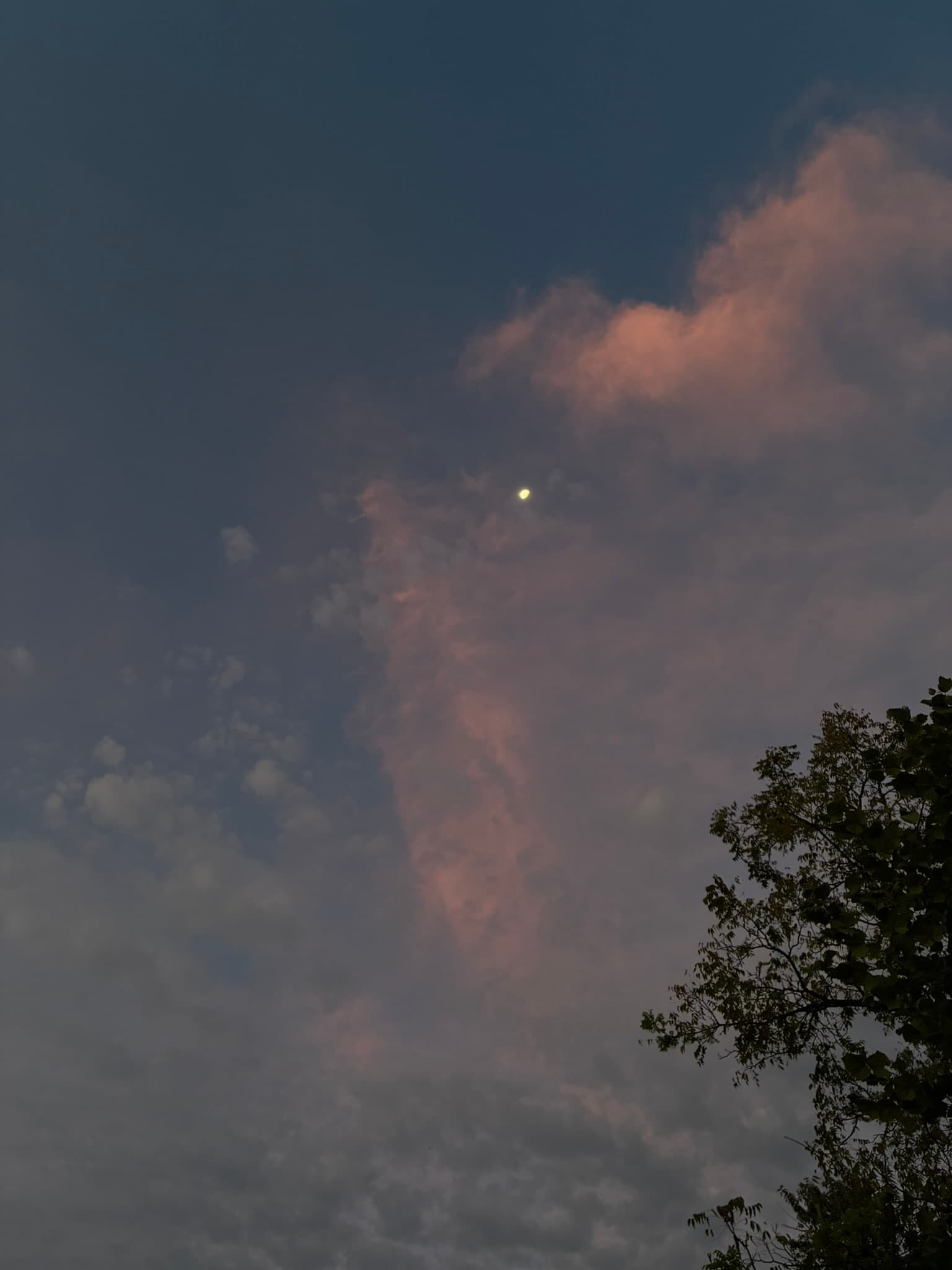 IMG_1143.JPEG