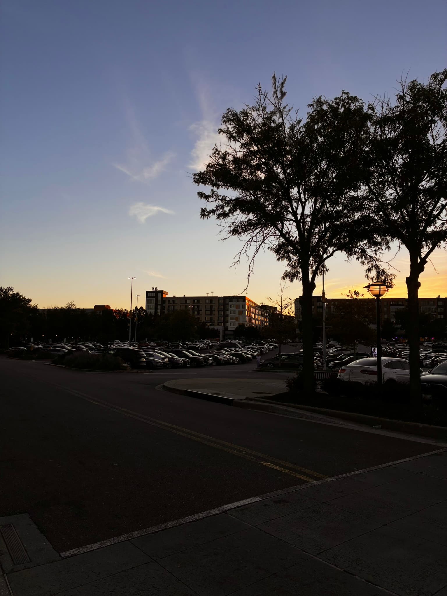 IMG_1277.JPEG