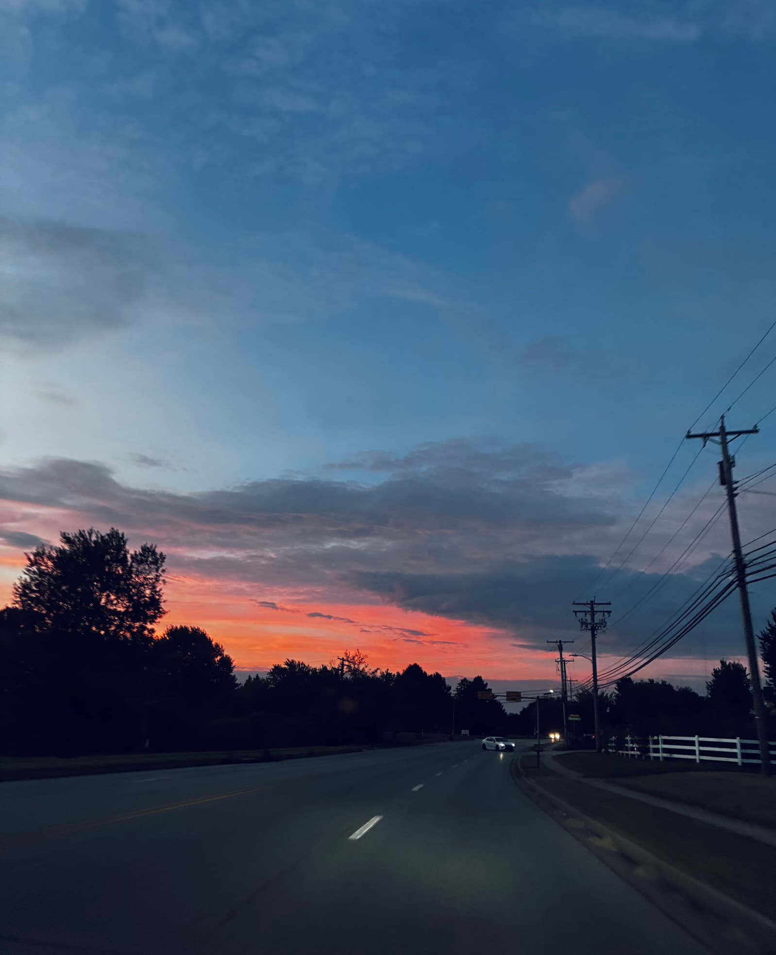 IMG_1340.JPEG