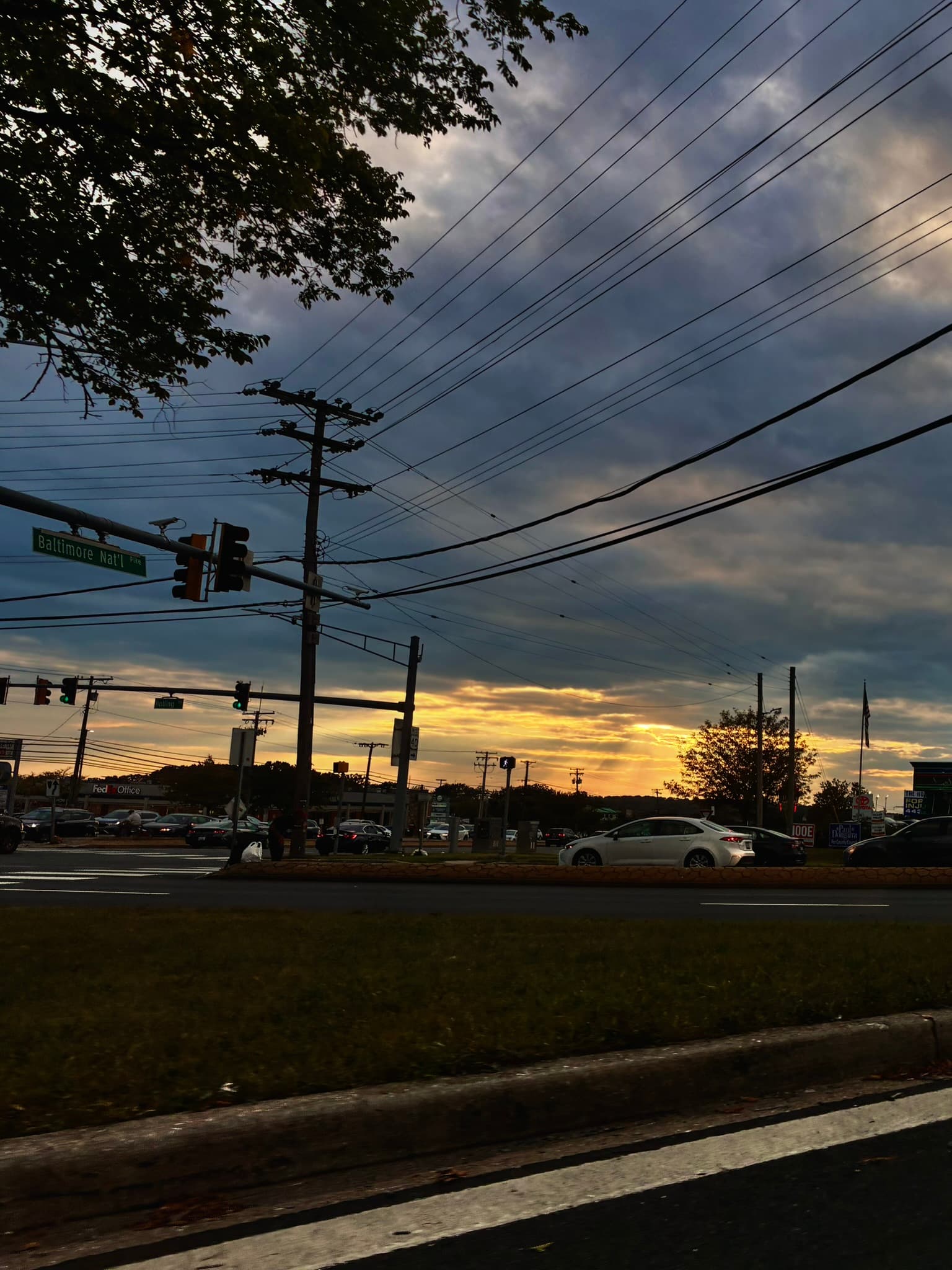 IMG_1661.JPEG