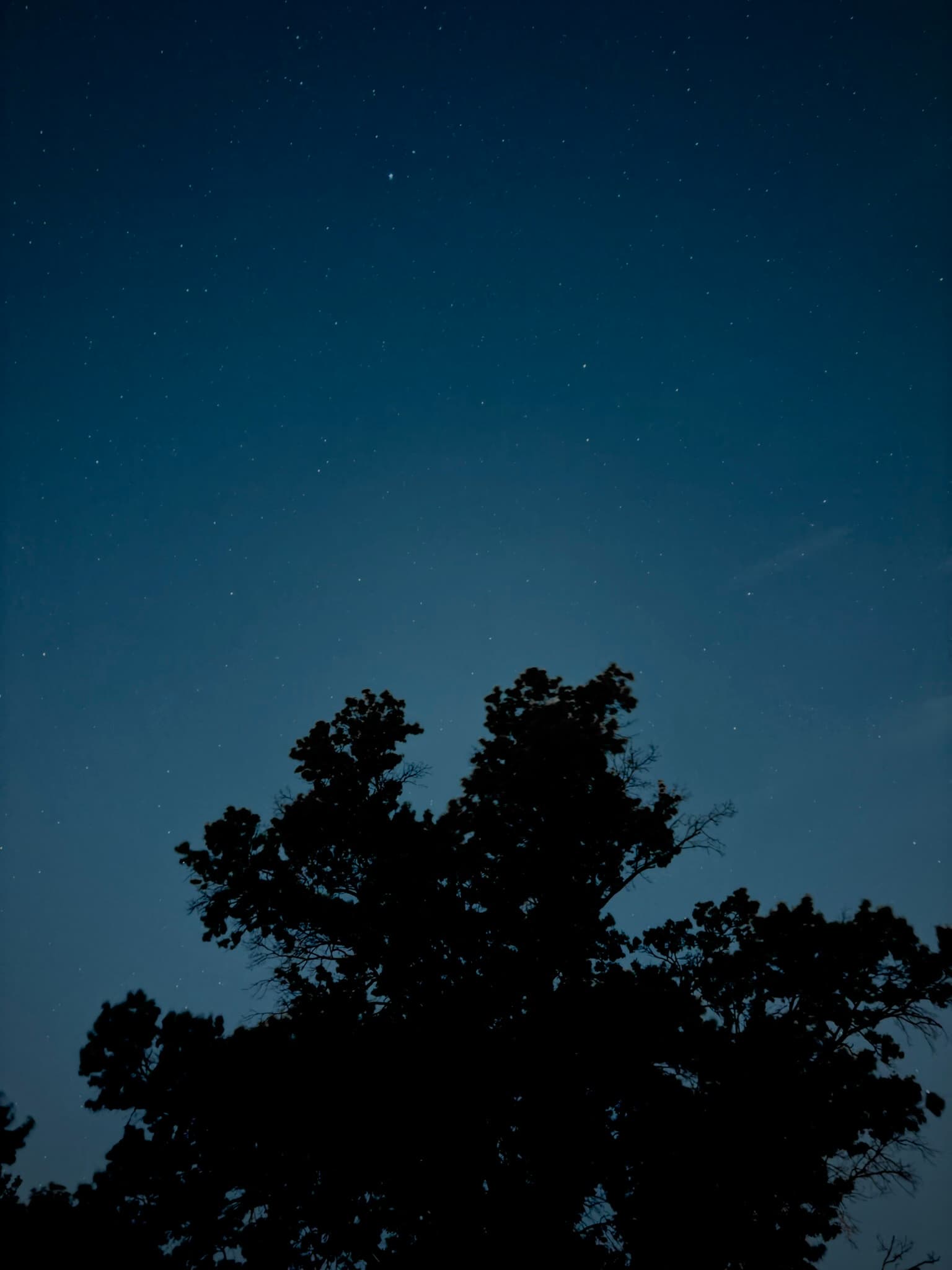 IMG_2906.JPEG