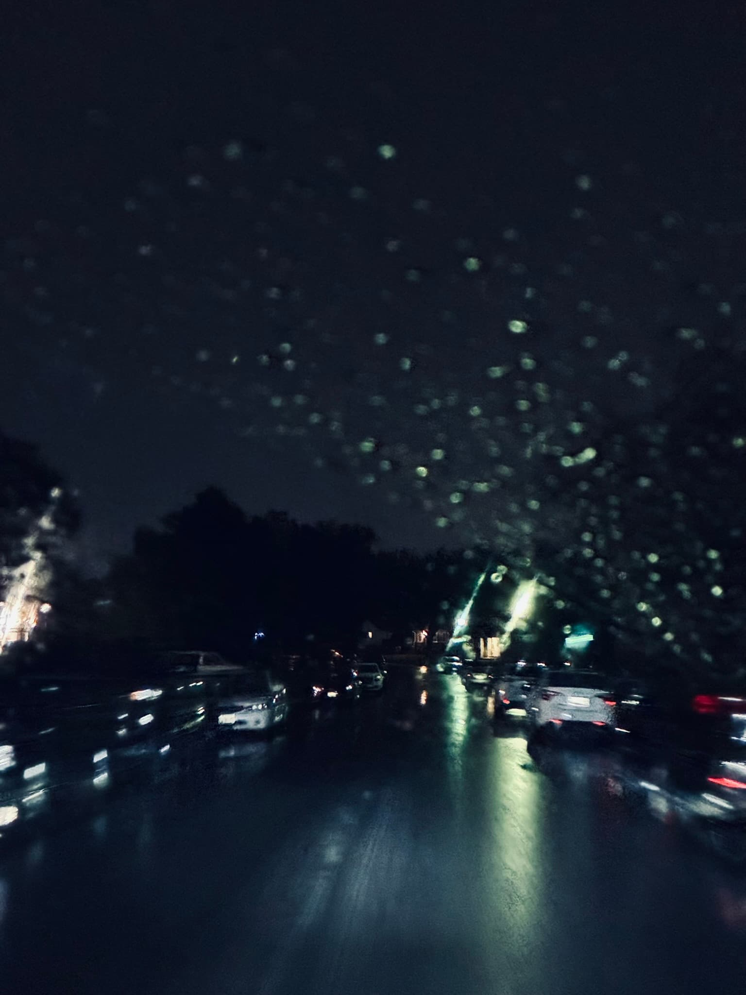 IMG_3096.JPEG