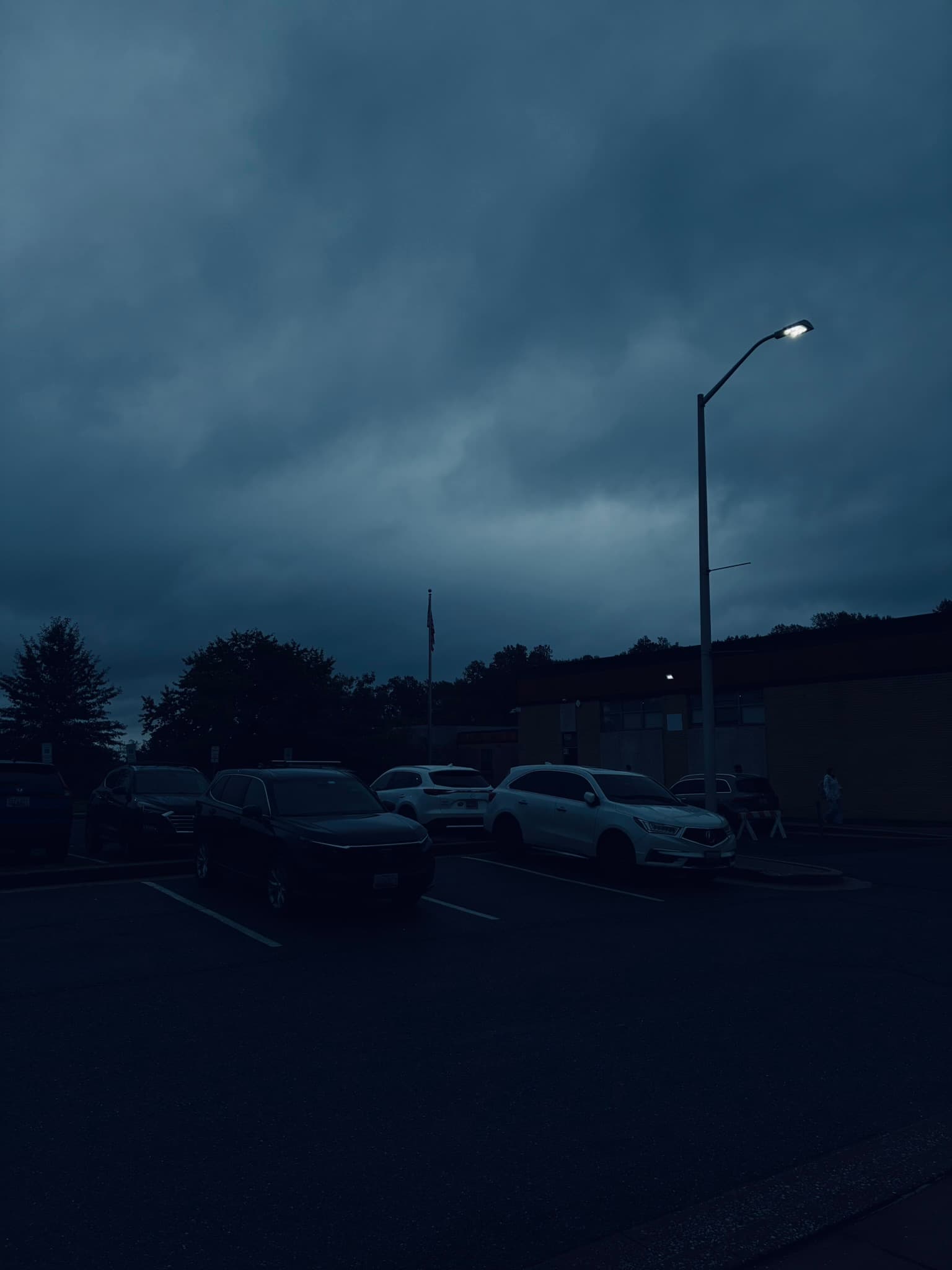 IMG_3102.JPEG