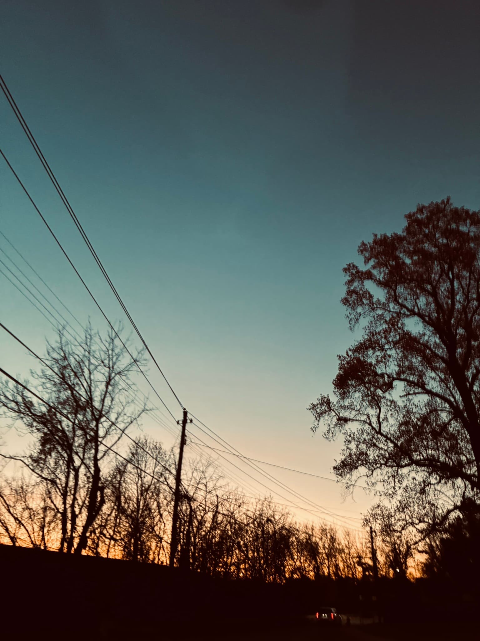 IMG_4040.JPEG