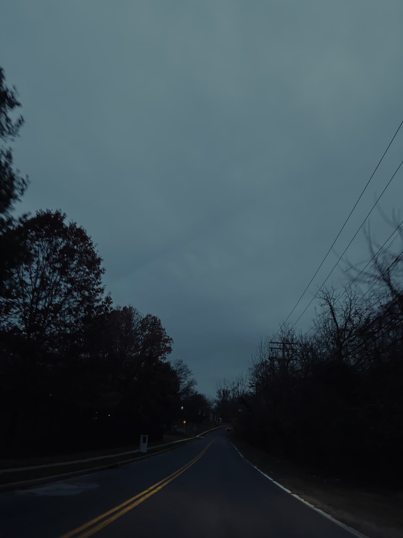 IMG_4264.JPEG