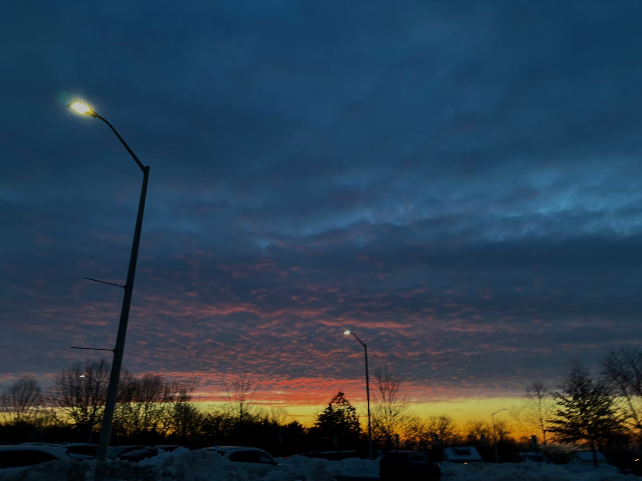 IMG_5407.JPEG