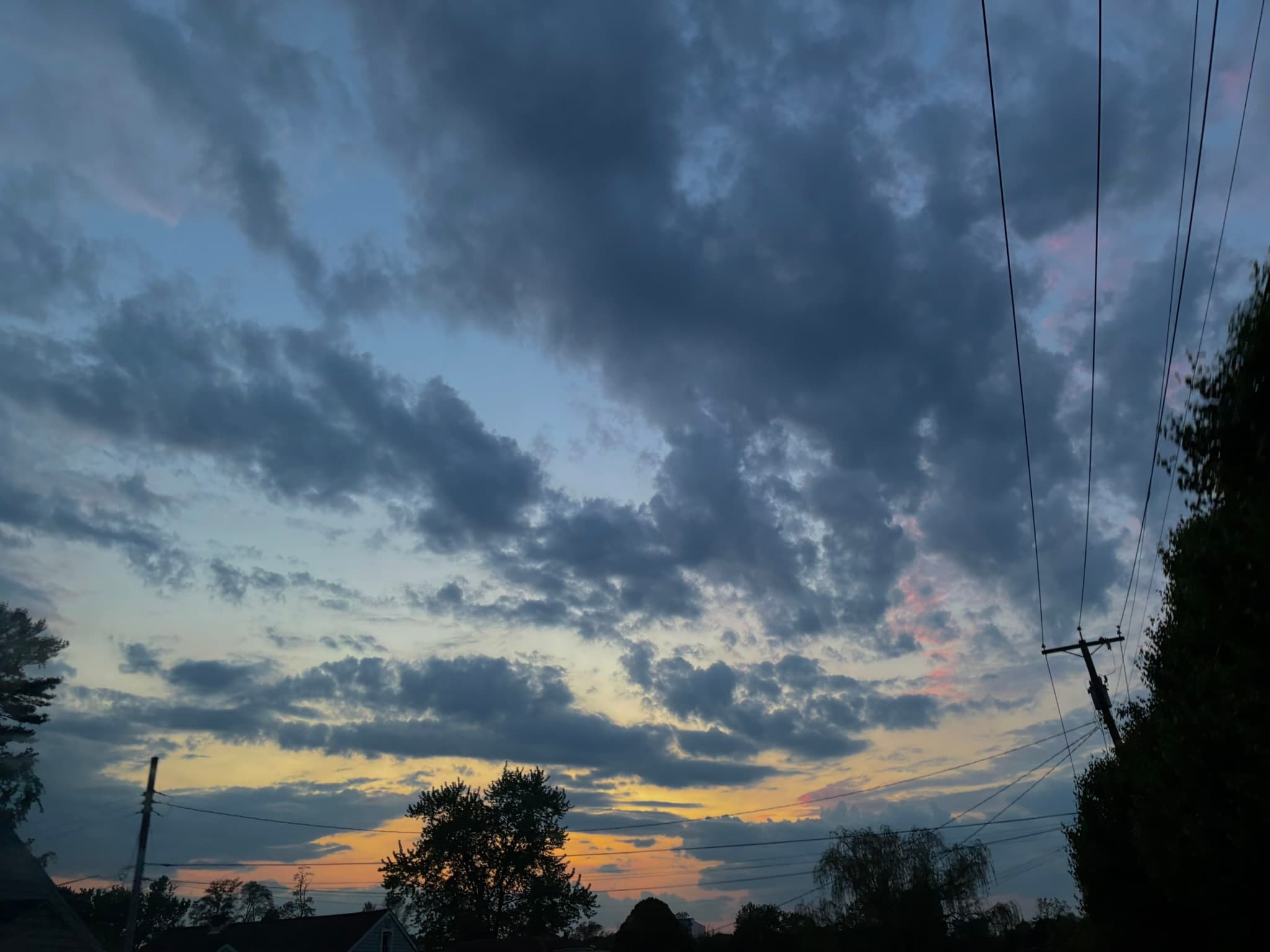 IMG_7003.JPEG