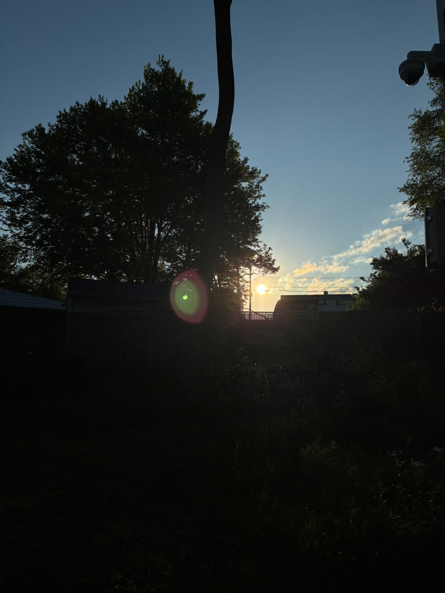 IMG_7385.JPEG