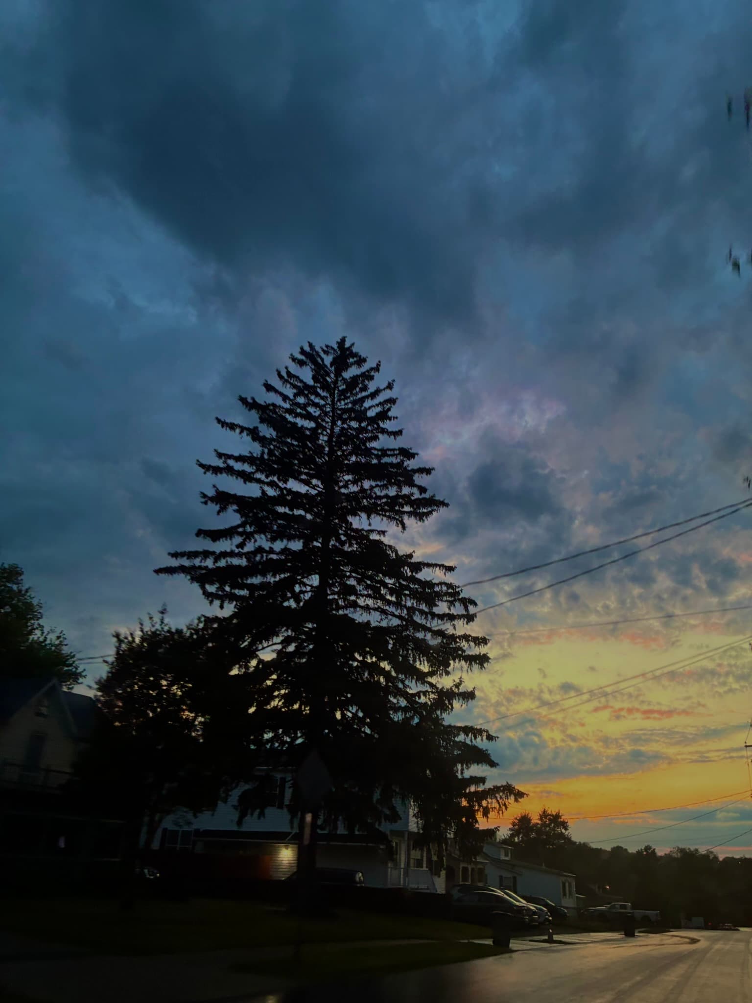 IMG_7453.JPEG