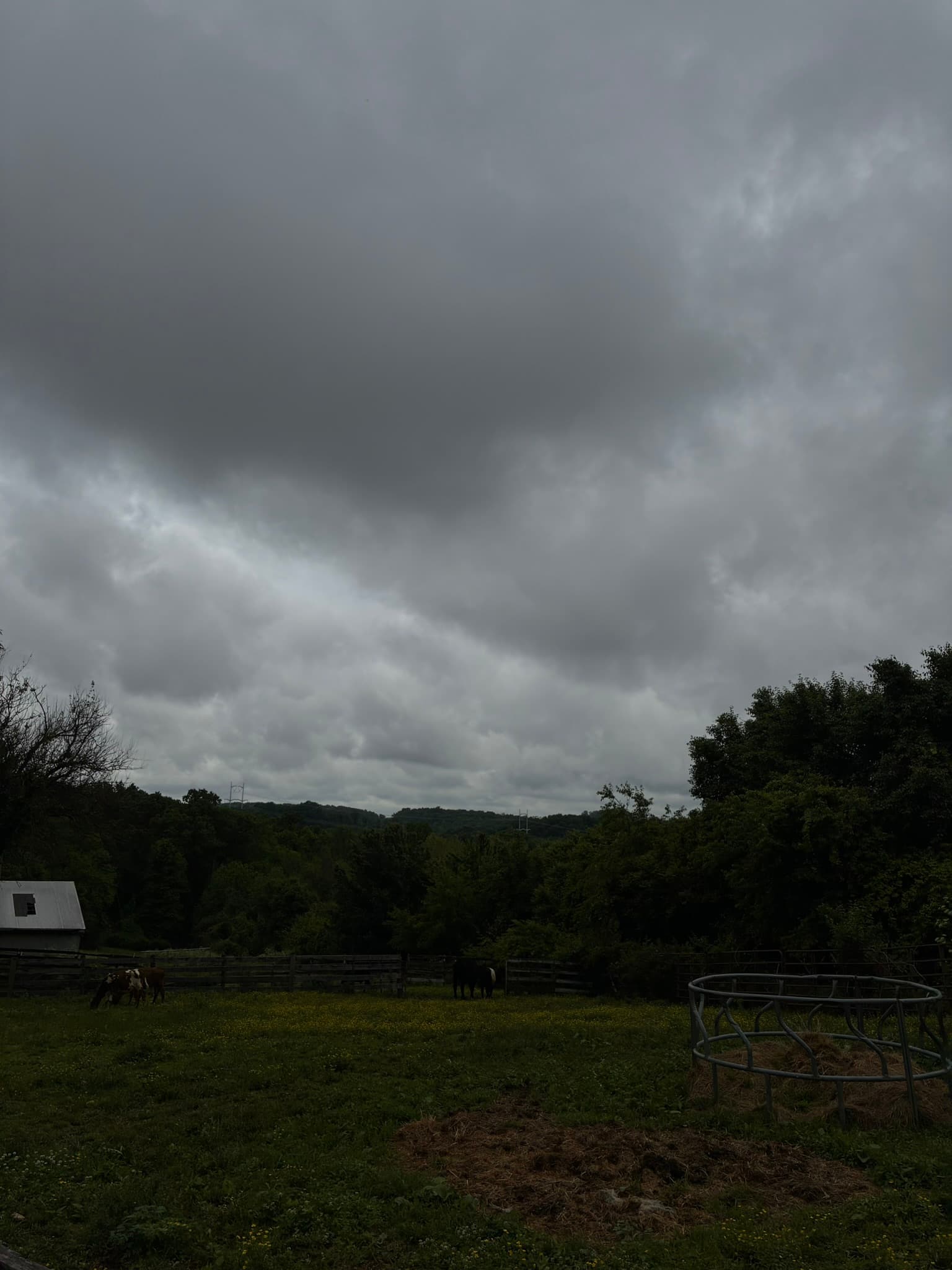 IMG_8038.JPEG