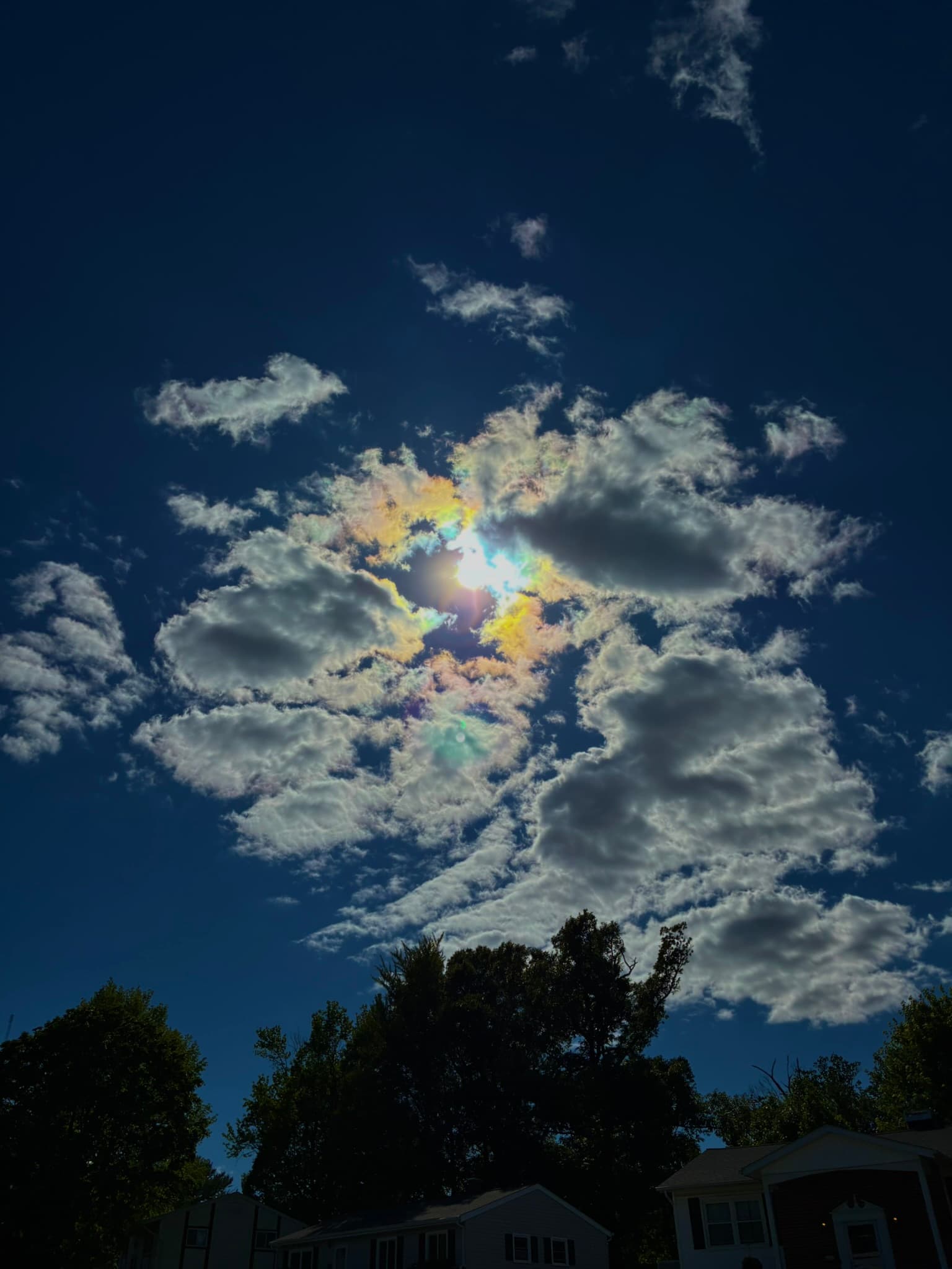 IMG_8140.JPEG