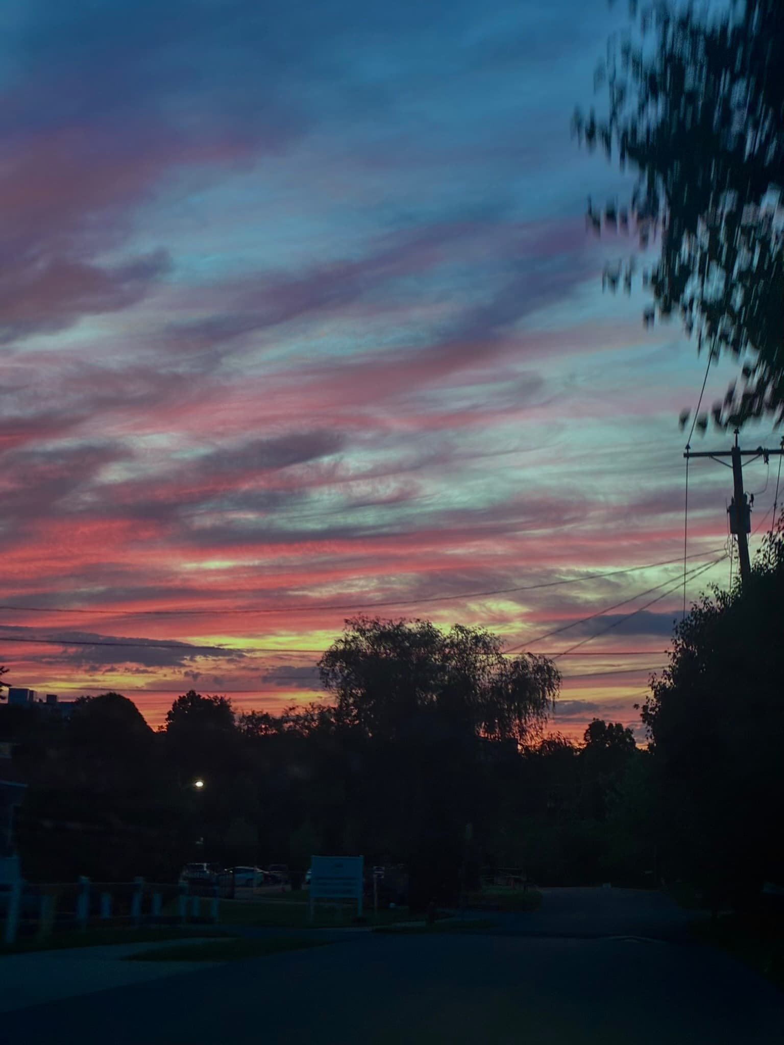 IMG_8286.JPEG
