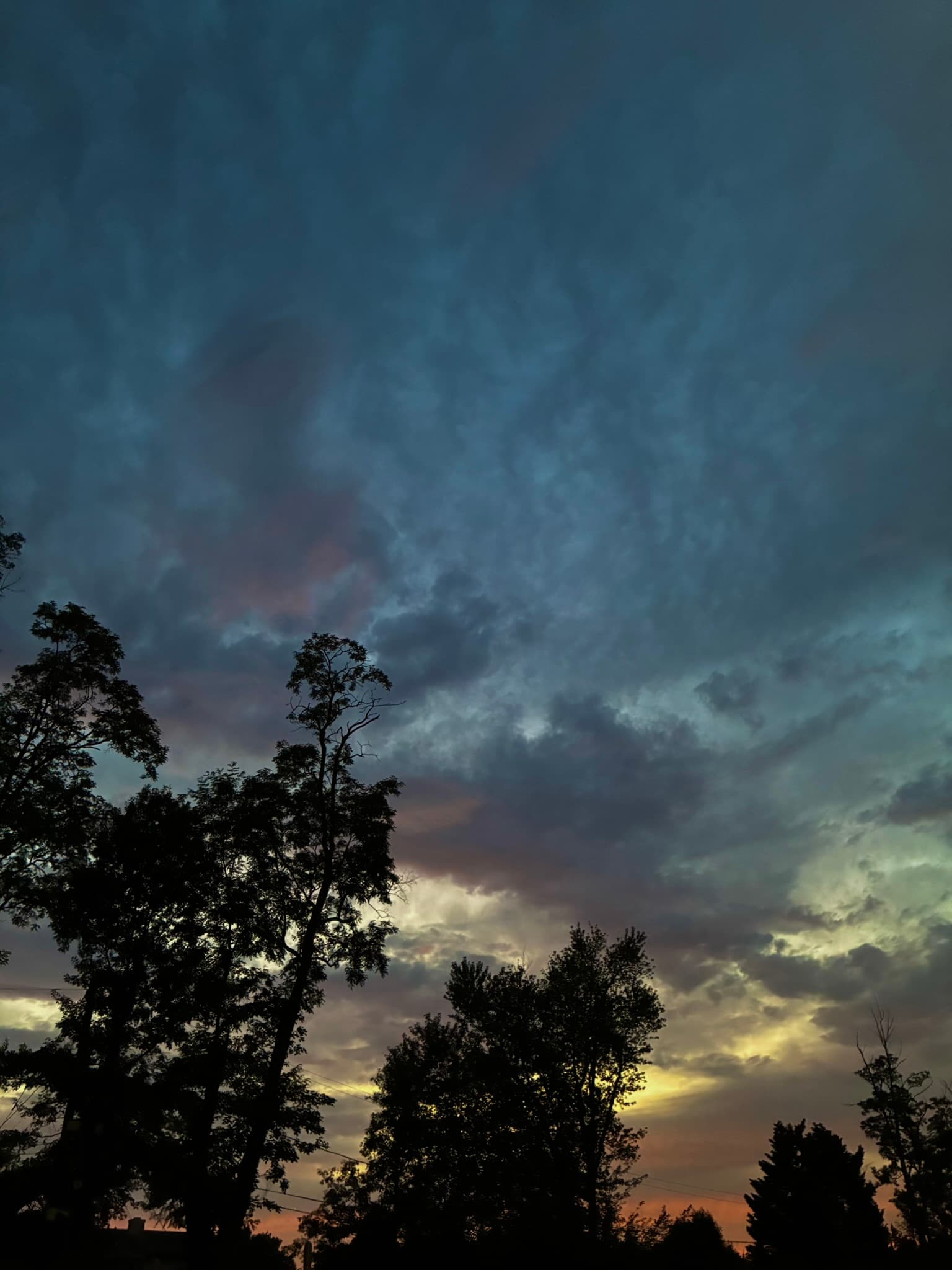 IMG_8681.JPEG