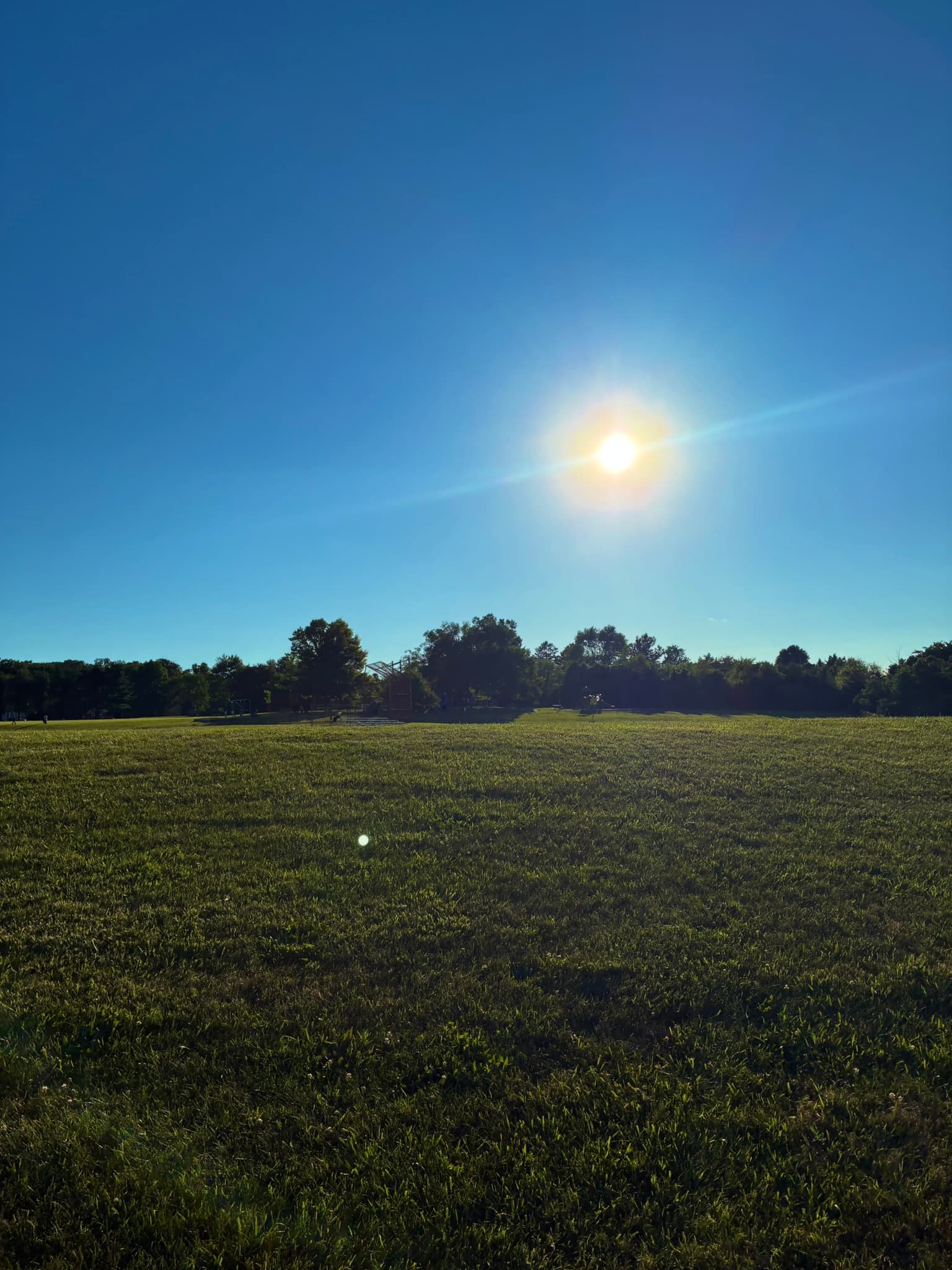 IMG_8864.JPEG